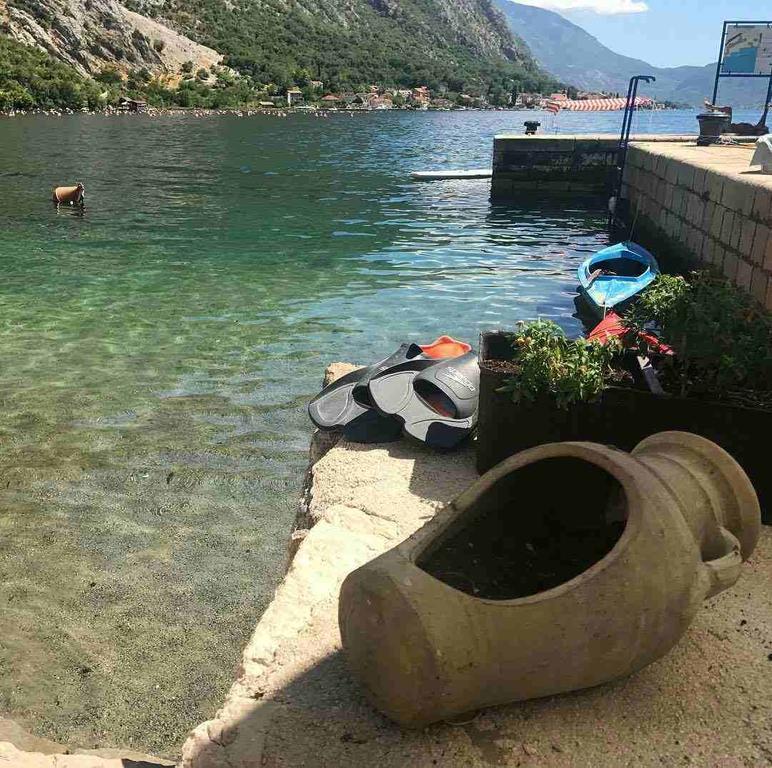 Apartment Lukiduki At The Beach - Κότορ Εξωτερικό φωτογραφία